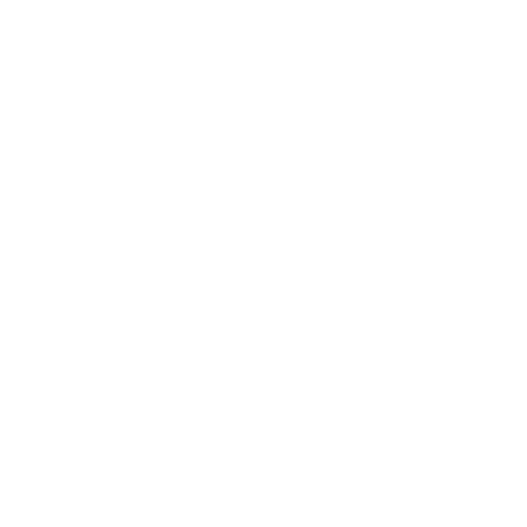 YWAM logo white transparent