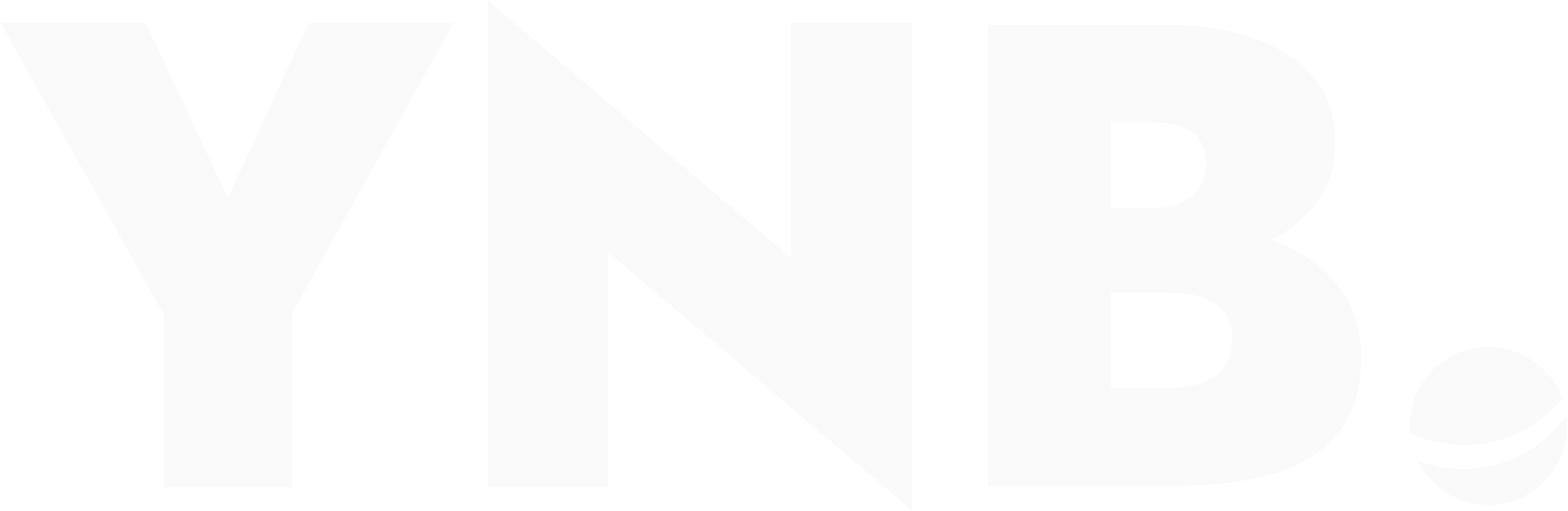 YNB. Logo